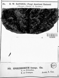 Image Associated With the Occurence